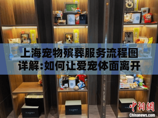 上海宠物殡葬服务流程图详解:如何让爱宠体面离开的完整指引