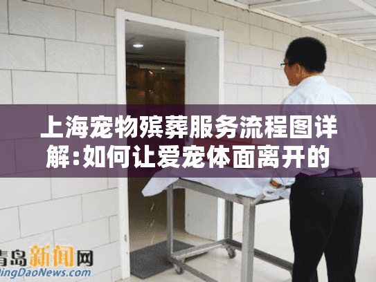 上海宠物殡葬服务流程图详解:如何让爱宠体面离开的完整指引