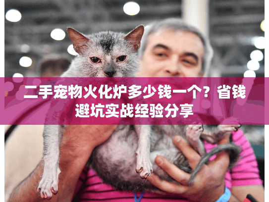 二手宠物火化炉多少钱一个?省钱避坑实战经验分享 二手宠物火化炉多少钱一个?省钱避坑实战经验分享