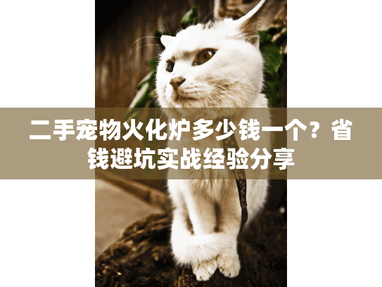 二手宠物火化炉多少钱一个?省钱避坑实战经验分享 二手宠物火化炉多少钱一个?省钱避坑实战经验分享