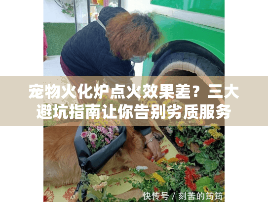 宠物火化炉点火效果差？三大避坑指南让你告别劣质服务