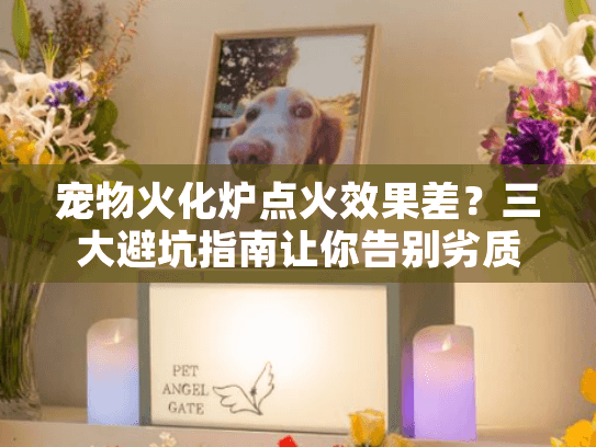 宠物火化炉点火效果差？三大避坑指南让你告别劣质服务