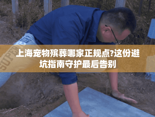 上海宠物殡葬哪家正规点?这份避坑指南守护最后告别