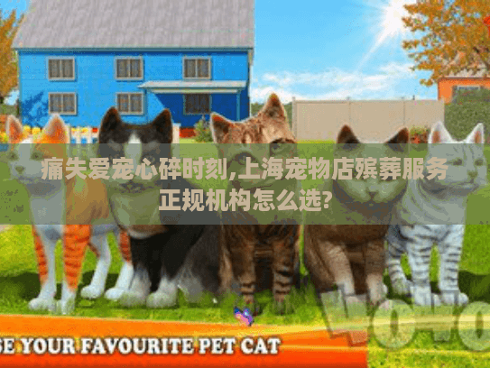 痛失爱宠心碎时刻,上海宠物店殡葬服务正规机构怎么选?
