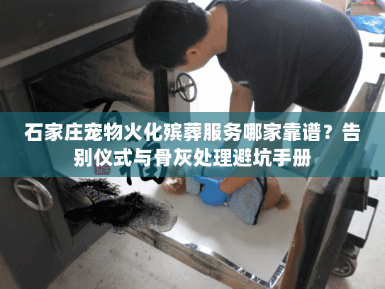 石家庄宠物火化殡葬服务哪家靠谱？告别仪式与骨灰处理避坑手册