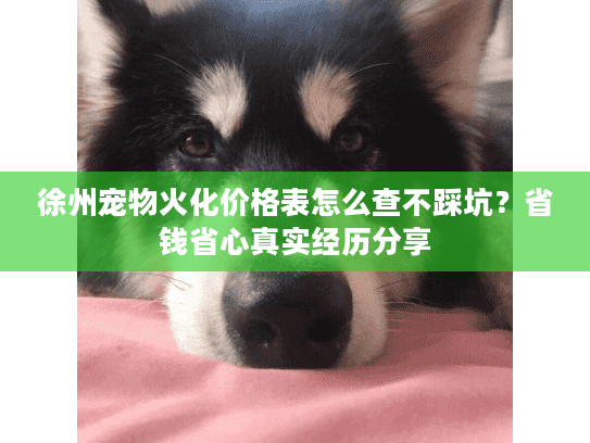 徐州宠物火化价格表怎么查不踩坑？省钱省心真实经历分享