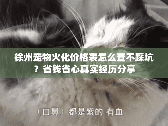 徐州宠物火化价格表怎么查不踩坑？省钱省心真实经历分享