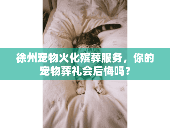 徐州宠物火化殡葬服务，你的宠物葬礼会后悔吗？