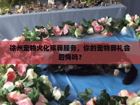 徐州宠物火化殡葬服务，你的宠物葬礼会后悔吗？