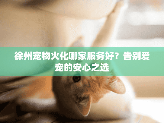 徐州宠物火化哪家服务好?告别爱宠的安心之选 徐州宠物火化哪家服务好?告别爱宠的安心之选