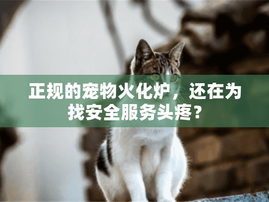 正规的宠物火化炉，还在为找安全服务头疼？
