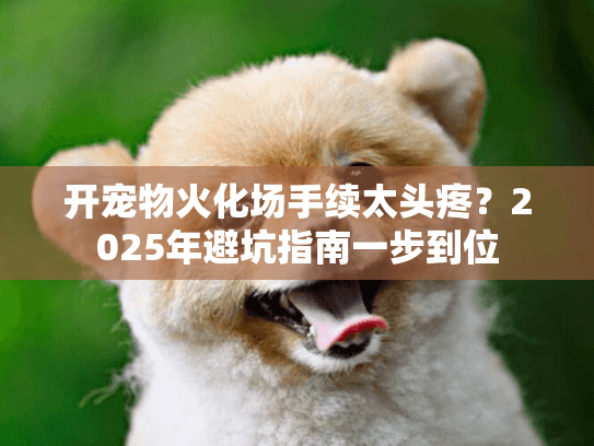 开宠物火化场手续太头疼？2025年避坑指南一步到位