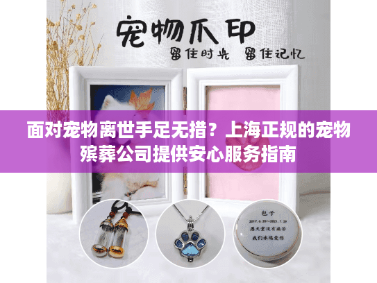 面对宠物离世手足无措？上海正规的宠物殡葬公司提供安心服务指南