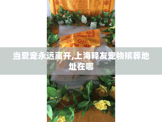 当爱宠永远离开,上海释友宠物殡葬地址在哪