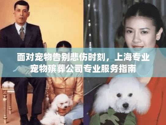 面对宠物告别悲伤时刻，上海专业宠物殡葬公司专业服务指南