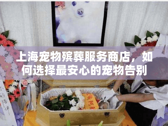 上海宠物殡葬服务商店，如何选择最安心的宠物告别方式？