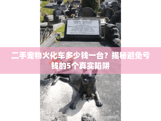 二手宠物火化车多少钱一台？揭秘避免亏钱的5个真实陷阱