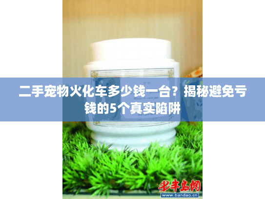 二手宠物火化车多少钱一台？揭秘避免亏钱的5个真实陷阱