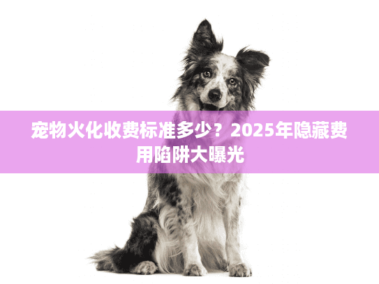 宠物火化收费标准多少？2025年隐藏费用陷阱大曝光