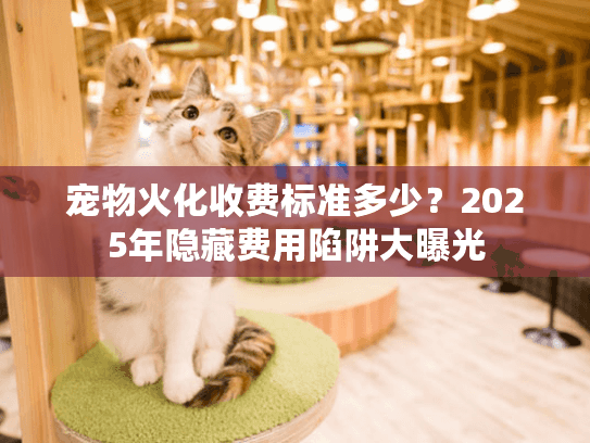 宠物火化收费标准多少？2025年隐藏费用陷阱大曝光