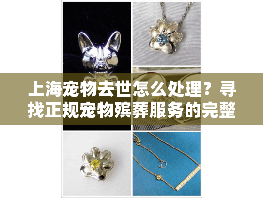 上海宠物去世怎么处理？寻找正规宠物殡葬服务的完整指南