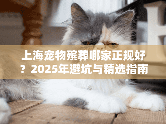 上海宠物殡葬哪家正规好？2025年避坑与精选指南