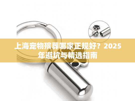上海宠物殡葬哪家正规好？2025年避坑与精选指南