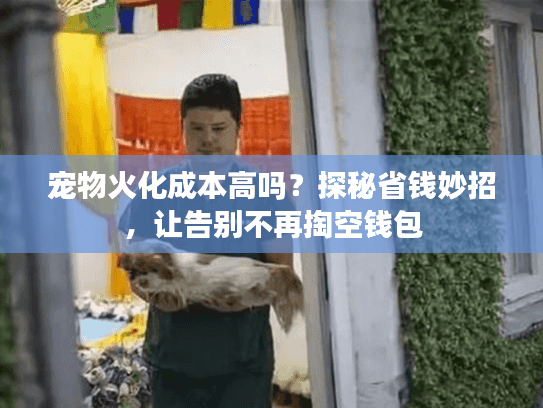 宠物火化成本高吗？探秘省钱妙招，让告别不再掏空钱包