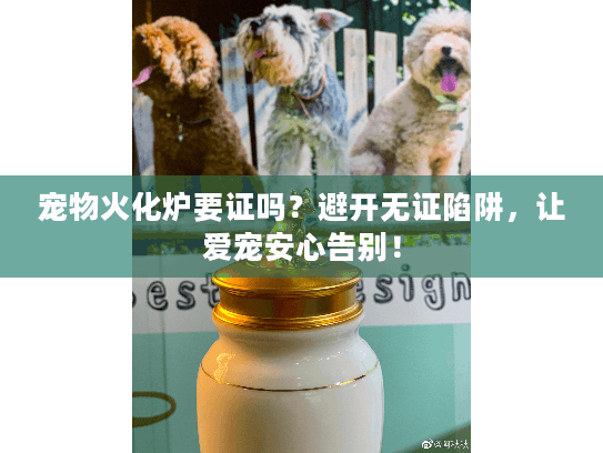 宠物火化炉要证吗？避开无证陷阱，让爱宠安心告别！