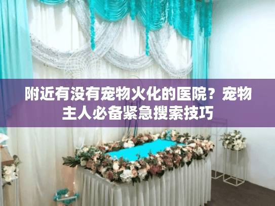 附近有没有宠物火化的医院？宠物主人必备紧急搜索技巧
