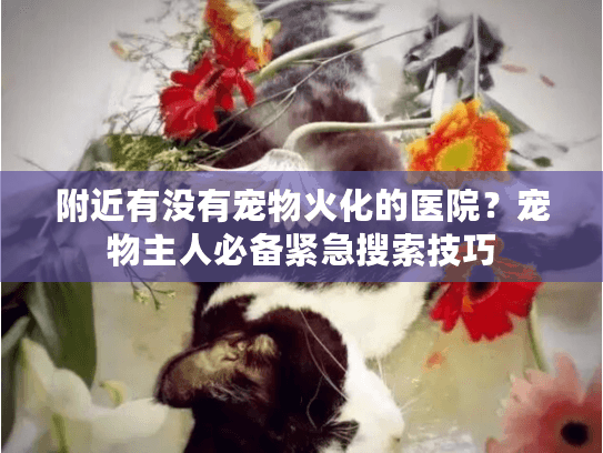附近有没有宠物火化的医院？宠物主人必备紧急搜索技巧