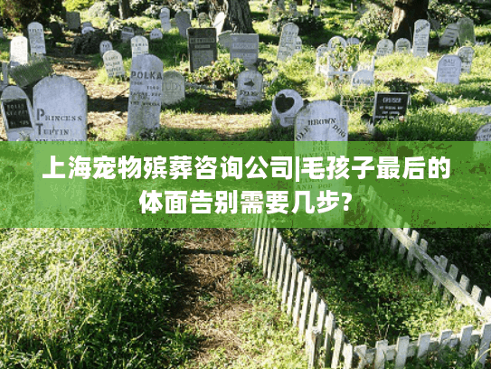 上海宠物殡葬咨询公司|毛孩子最后的体面告别需要几步?
