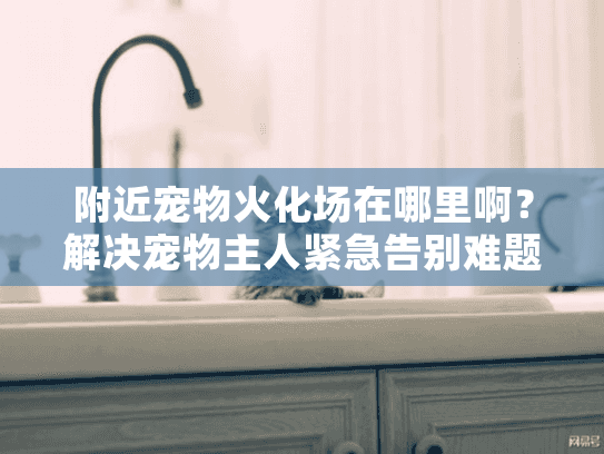 附近宠物火化场在哪里啊？解决宠物主人紧急告别难题的独家方案