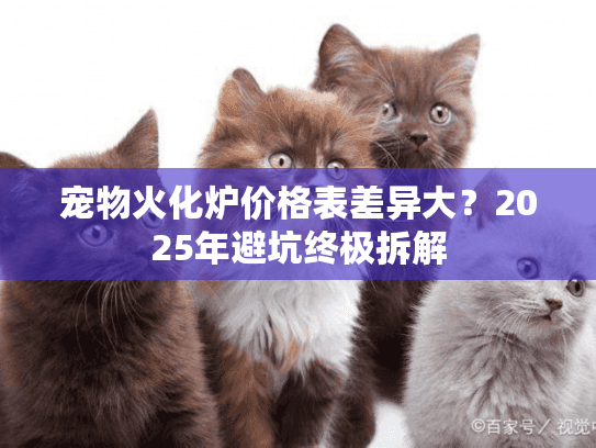 宠物火化炉价格表差异大?2025年避坑终极拆解 宠物火化炉价格表差异大?2025年避坑终极拆解