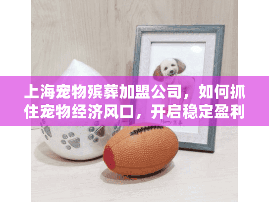 上海宠物殡葬加盟公司，如何抓住宠物经济风口，开启稳定盈利模式？