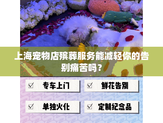 上海宠物店殡葬服务能减轻你的告别痛苦吗？