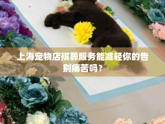 上海宠物店殡葬服务能减轻你的告别痛苦吗？