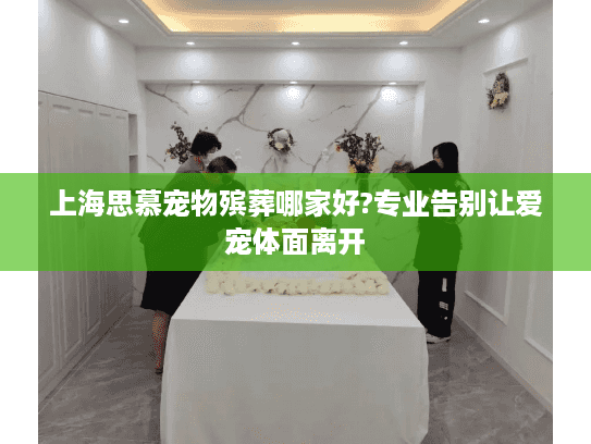 上海思慕宠物殡葬哪家好?专业告别让爱宠体面离开