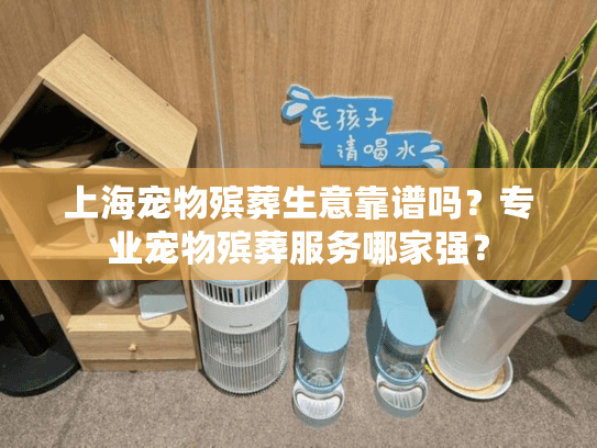 上海宠物殡葬生意靠谱吗？专业宠物殡葬服务哪家强？