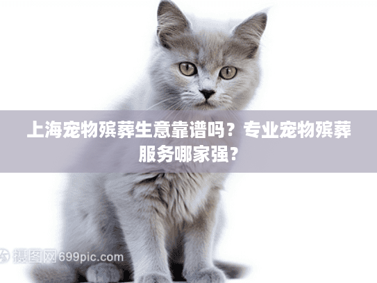 上海宠物殡葬生意靠谱吗？专业宠物殡葬服务哪家强？