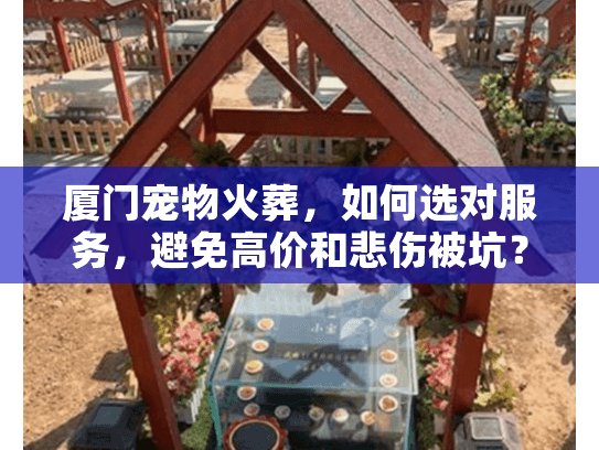 厦门宠物火葬，如何选对服务，避免高价和悲伤被坑？