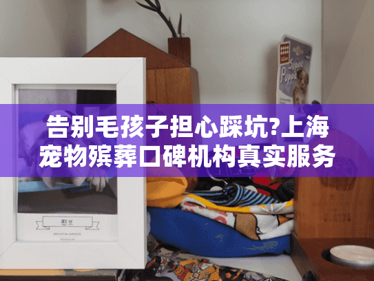 告别毛孩子担心踩坑?上海宠物殡葬口碑机构真实服务解密