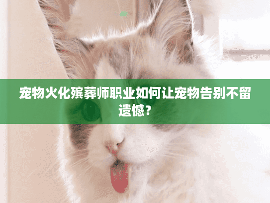 宠物火化殡葬师职业如何让宠物告别不留遗憾？