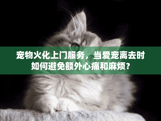 宠物火化上门服务，当爱宠离去时如何避免额外心痛和麻烦？