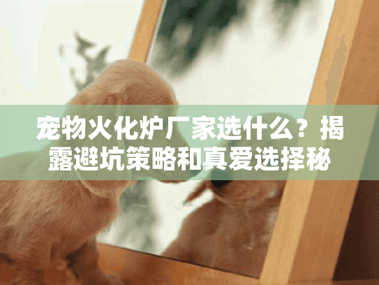宠物火化炉厂家选什么？揭露避坑策略和真爱选择秘密