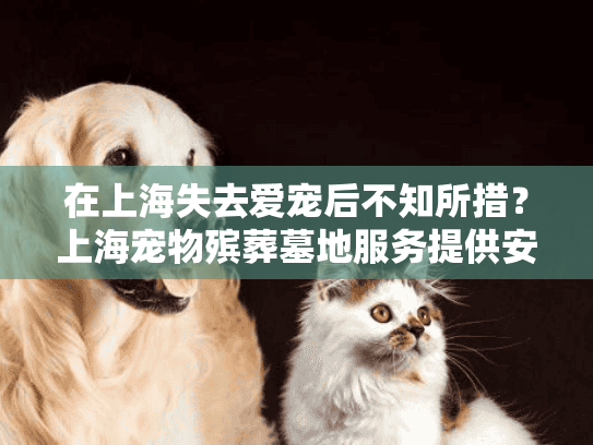 在上海失去爱宠后不知所措？上海宠物殡葬墓地服务提供安心解决方案