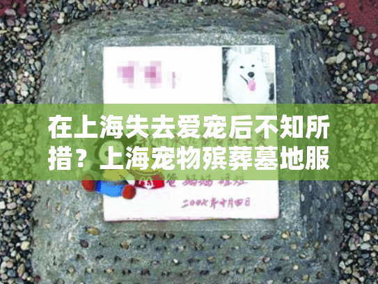 在上海失去爱宠后不知所措？上海宠物殡葬墓地服务提供安心解决方案