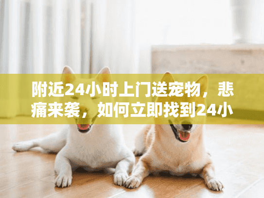 附近24小时上门送宠物，悲痛来袭，如何立即找到24小时宠物殡葬紧急服务？