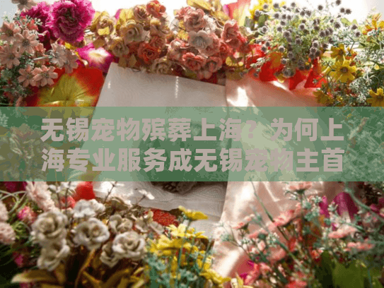 无锡宠物殡葬上海？为何上海专业服务成无锡宠物主首选