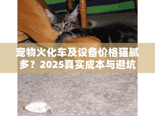宠物火化车及设备价格猫腻多？2025真实成本与避坑策略
